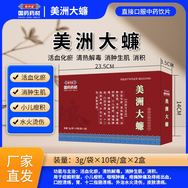 美洲大蠊2.jpg